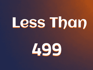 Offers Less Than 499